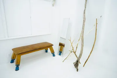 A.WOMB1518