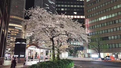 レンタルオフィス|リージャスKDX名古屋駅前ビル
