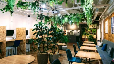 CO-WORKING&JAZZCLUB EXPRESSION