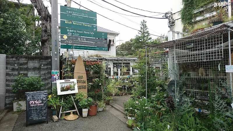 自由が丘グリーンホール - メイン