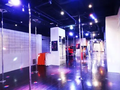 Pole Dance Tokyo ポールダンス東京